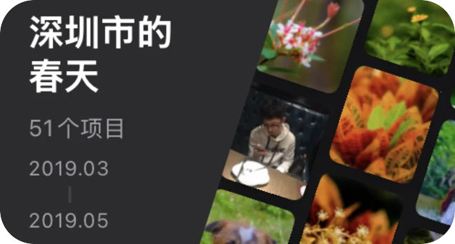 回忆 · 深圳市的春天